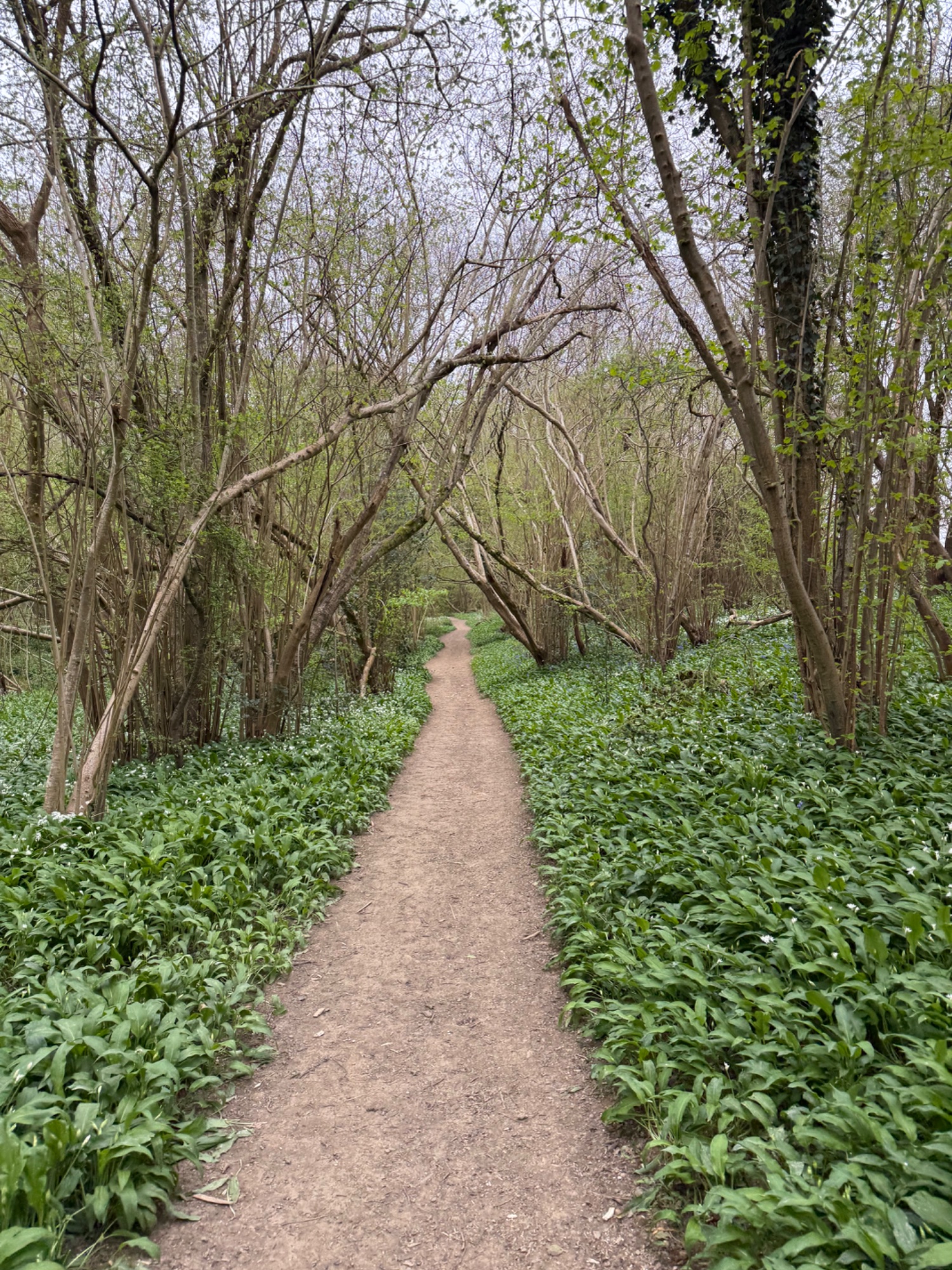 Testing the draft functionality on the website app.

And posting a draft