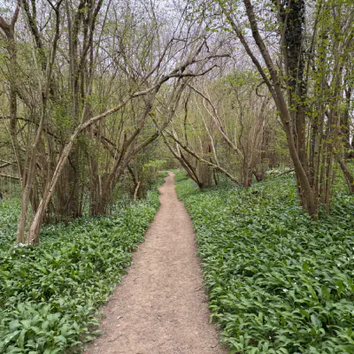 Testing the draft …